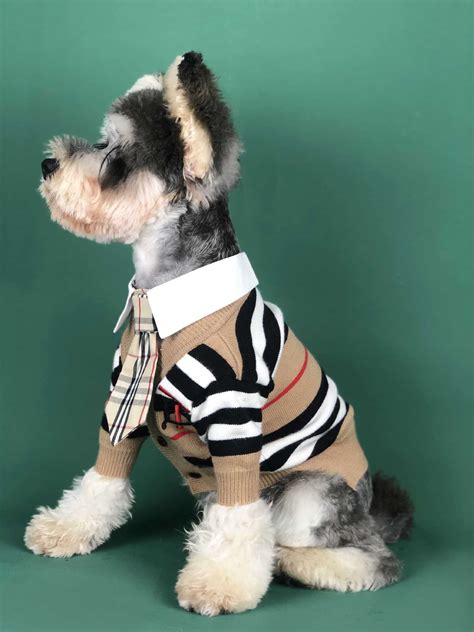 burberry pattern dog sweater